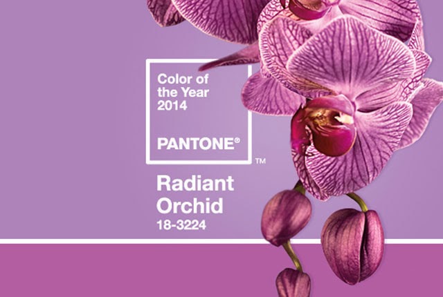 radiant_orchid